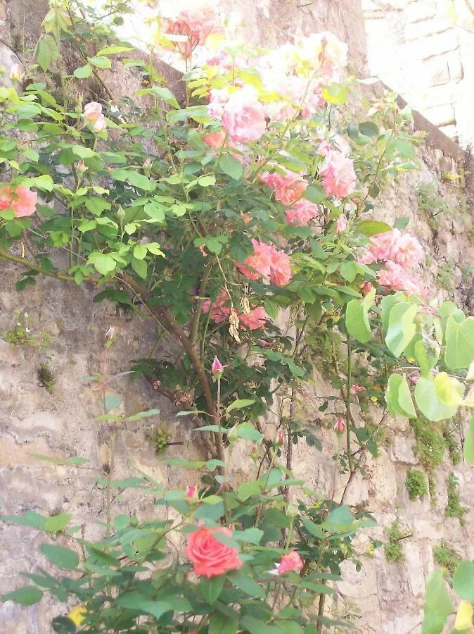 Saint-Antonin-Noble-Val La Reverie B&B